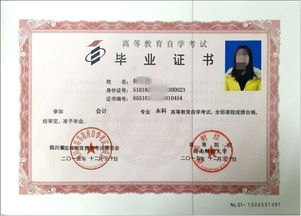 四川自考本科基礎(chǔ)會(huì)計(jì)試卷