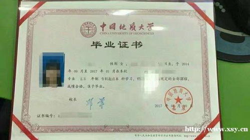 報(bào)大專(zhuān)自考同時(shí)報(bào)本科自考嗎