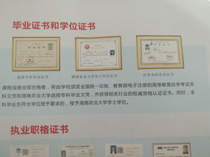 大專文憑與自考本科文憑哪個好