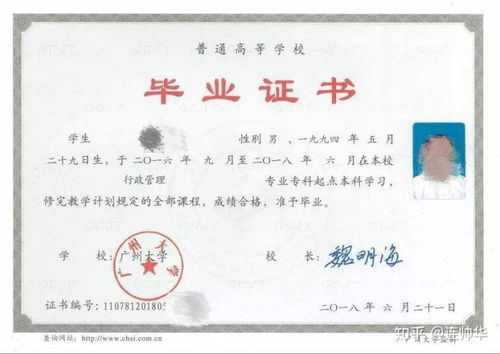 自考本科在全日制專科以上嗎