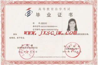 自考考試大專本科同時考