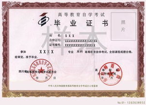 統(tǒng)招專(zhuān)科及以上自考本科