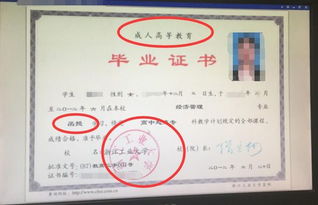 自考本科與二本科的區(qū)別