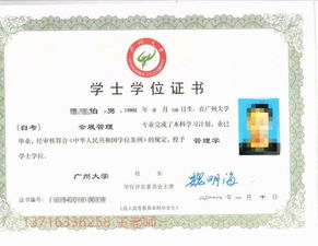 本科實(shí)驗(yàn)班是自考嗎