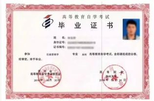 自考本科好看的專(zhuān)業(yè)