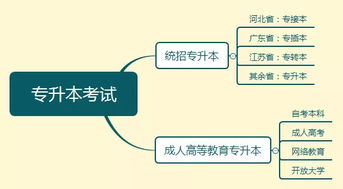 專插本難度大還是自考本科