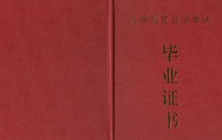 自考本科不考英語拿學位