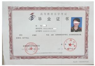 自考本科和研究生嗎