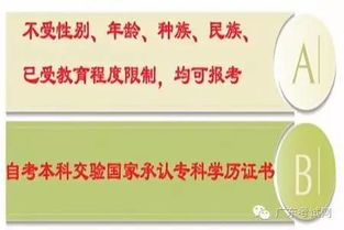 自考本科能參加公務