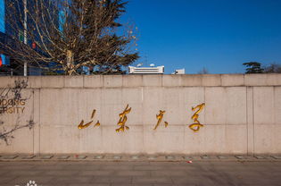 山東省自考本科畢業(yè)申報(bào)