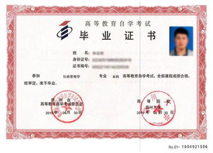 高考畢業(yè)后能直接自考本科嗎