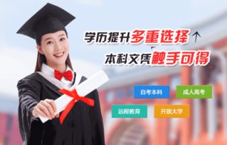 統(tǒng)招本科不如自考本科