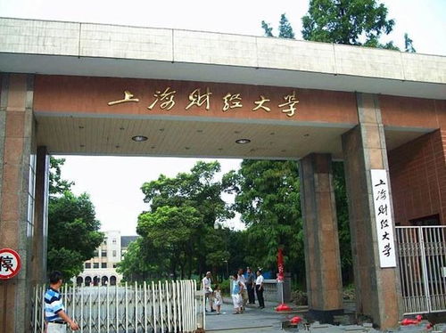 上海財經(jīng)大學自考會計本科難嗎