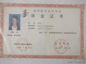 自考本科英語(yǔ)學(xué)位證書申請(qǐng)條件