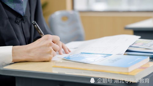 全日制大專可以報考自考本科