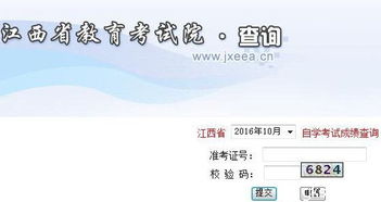 自考本科考公務員應屆生