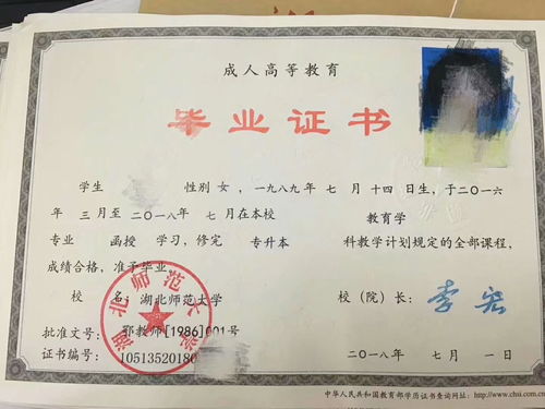 專科畢業(yè)還能自考本科嗎