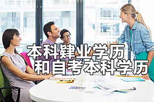 本科肄業(yè)能自考本科