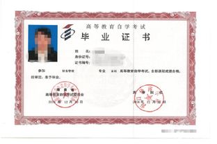 ?？诮?jīng)濟(jì)學(xué)院自考專(zhuān)科本科