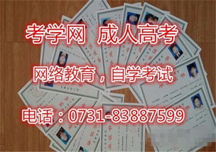 自考本科進了培訓機構(gòu)