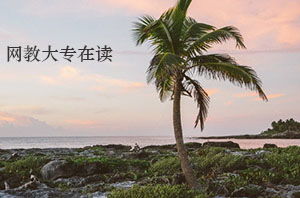 在讀?？粕梢詧?bào)自考本科段嗎