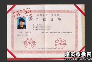 司法考試報名條件會計自考本科