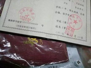 護理專業(yè)報自考本科