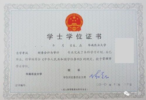 2019自考會計(jì)本科真題