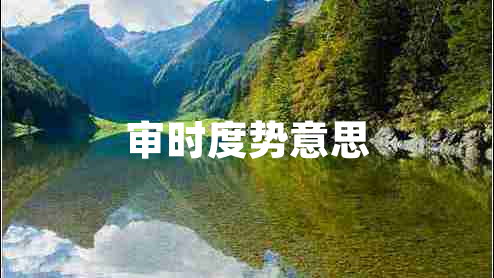 審時(shí)度勢(shì)意思