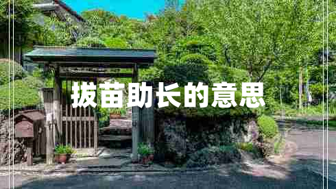 拔苗助長(zhǎng)的意思