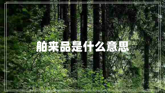 舶來品是什么意思