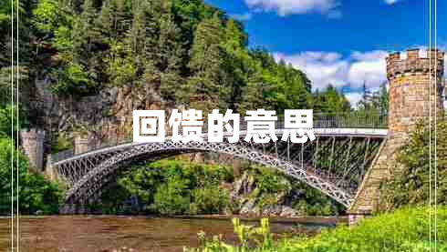 回饋的意思