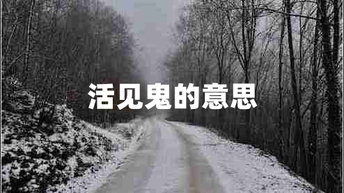 活見鬼的意思