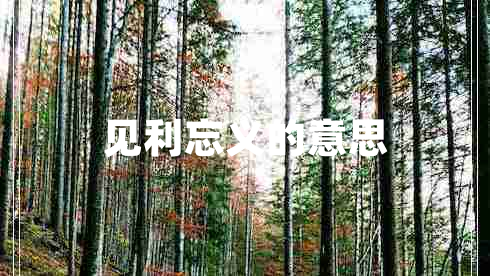 見利忘義的意思