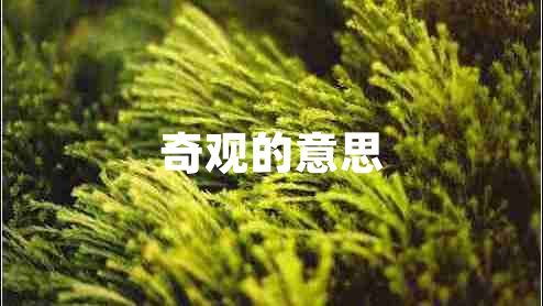 奇觀的意思
