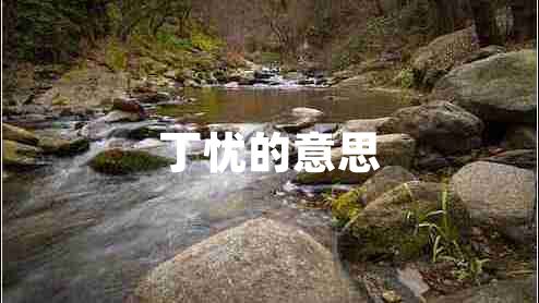 丁憂的意思
