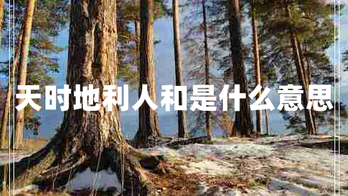 天時地利人和是什么意思
