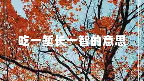 吃一塹長(zhǎng)一智的意思