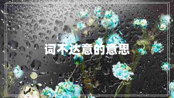 詞不達(dá)意的意思