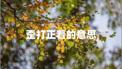 歪打正著的意思