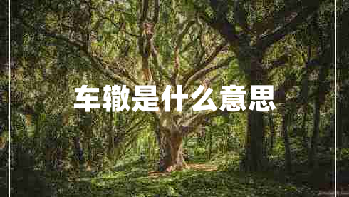 車轍是什么意思