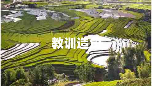 教訓(xùn)造句