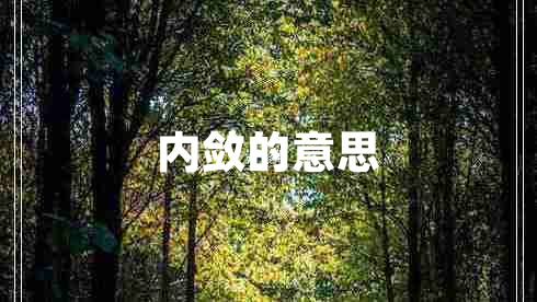 內(nèi)斂的意思