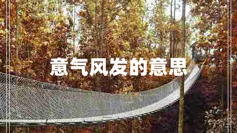 意氣風發(fā)的意思