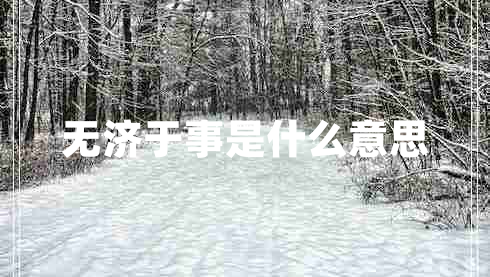 無濟于事是什么意思