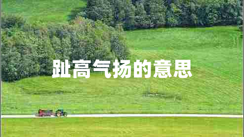 趾高氣揚(yáng)的意思