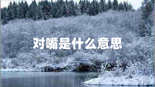 對(duì)嘴是什么意思