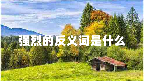 強(qiáng)烈的反義詞是什么