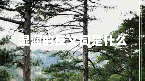 濕潤(rùn)的反義詞是什么