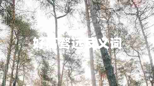好高騖遠(yuǎn)反義詞